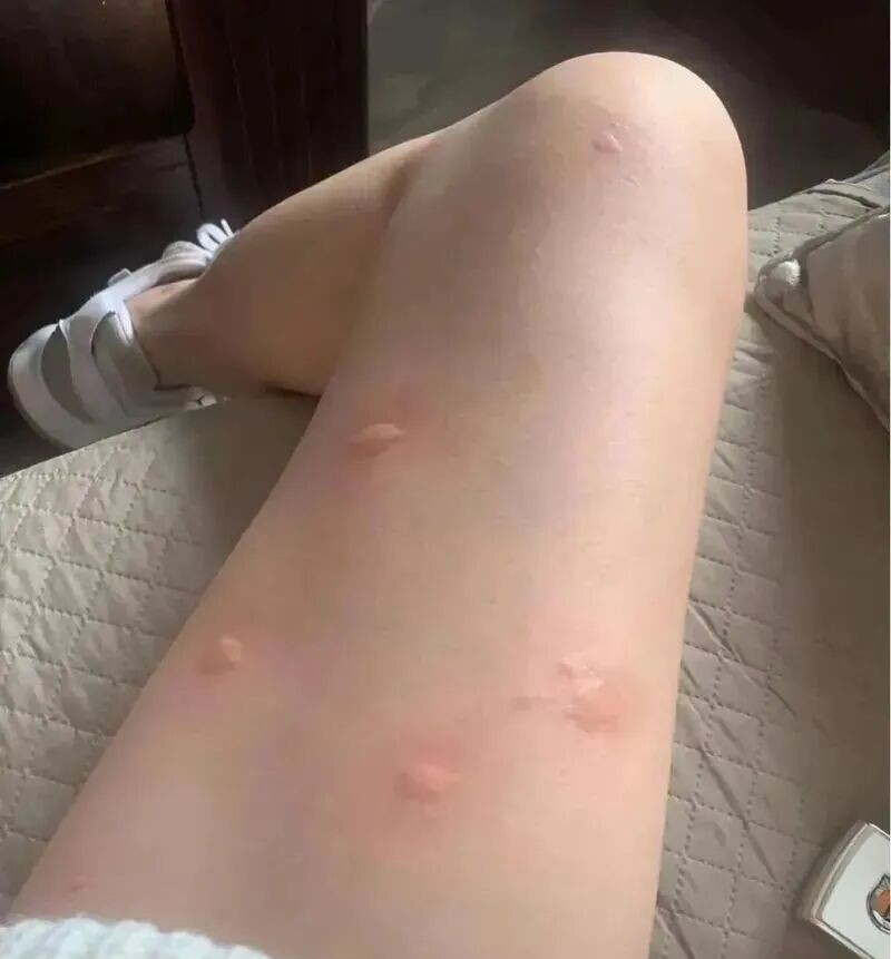 Bất chấp mọi lời khuy&ecirc;n, mua căn hộ tầng một c&oacute; s&acirc;n: S&aacute;u th&aacute;ng sau, chủ nh&acirc;n phải bật kh&oacute;c khi rao b&aacute;n lại- Ảnh 3.