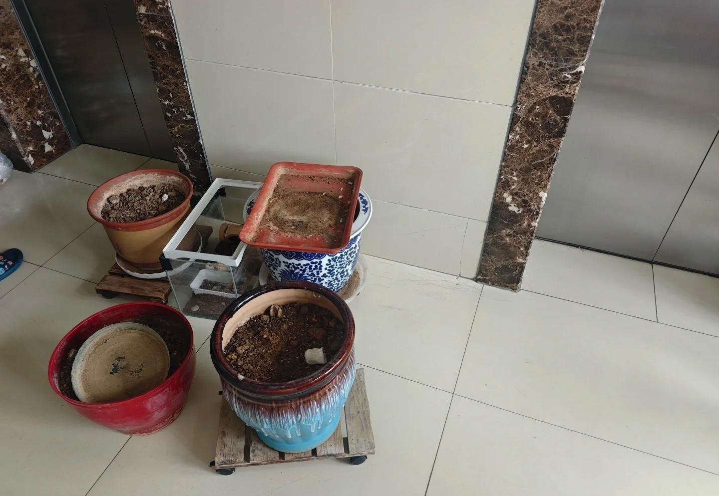 Trong nh&agrave; c&oacute; 10 thứ 