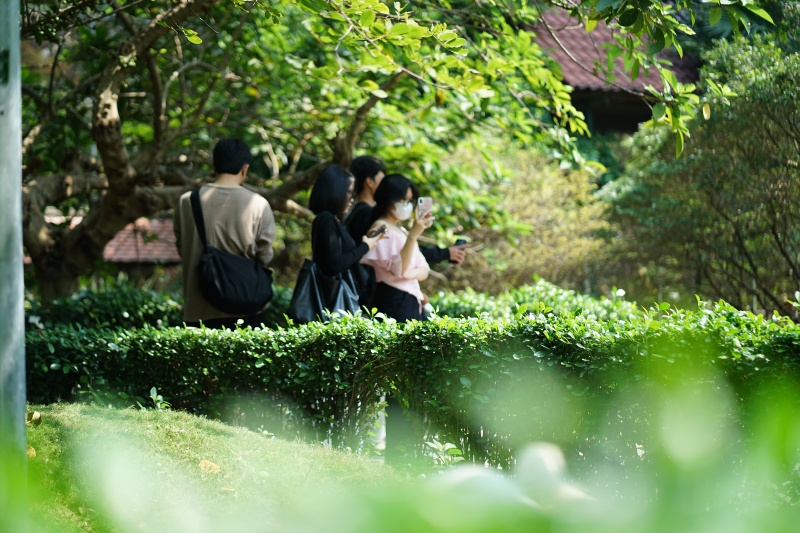 Sau vụ bắt c&oacute;c hy hữu, con thi&ecirc;n nga trắng c&ograve;n lại tại Thảo Cầm Vi&ecirc;n trong t&igrave;nh trạng kh&aacute;c lạ khiến nhiều người lo lắng- Ảnh 5.