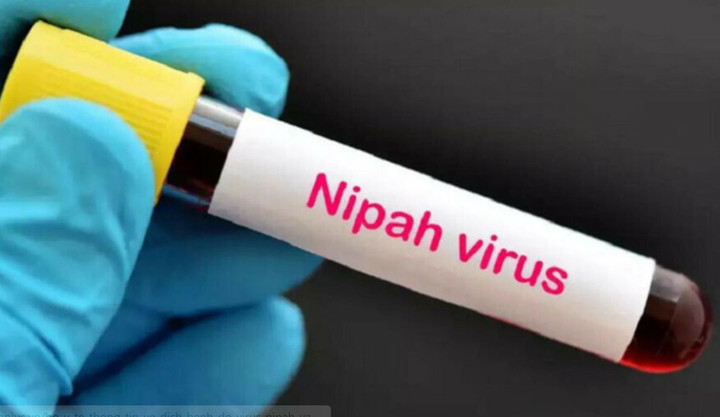 Nguồn gốc Virus Nipah, l&acirc;y qua đường n&agrave;o?- Ảnh 1.