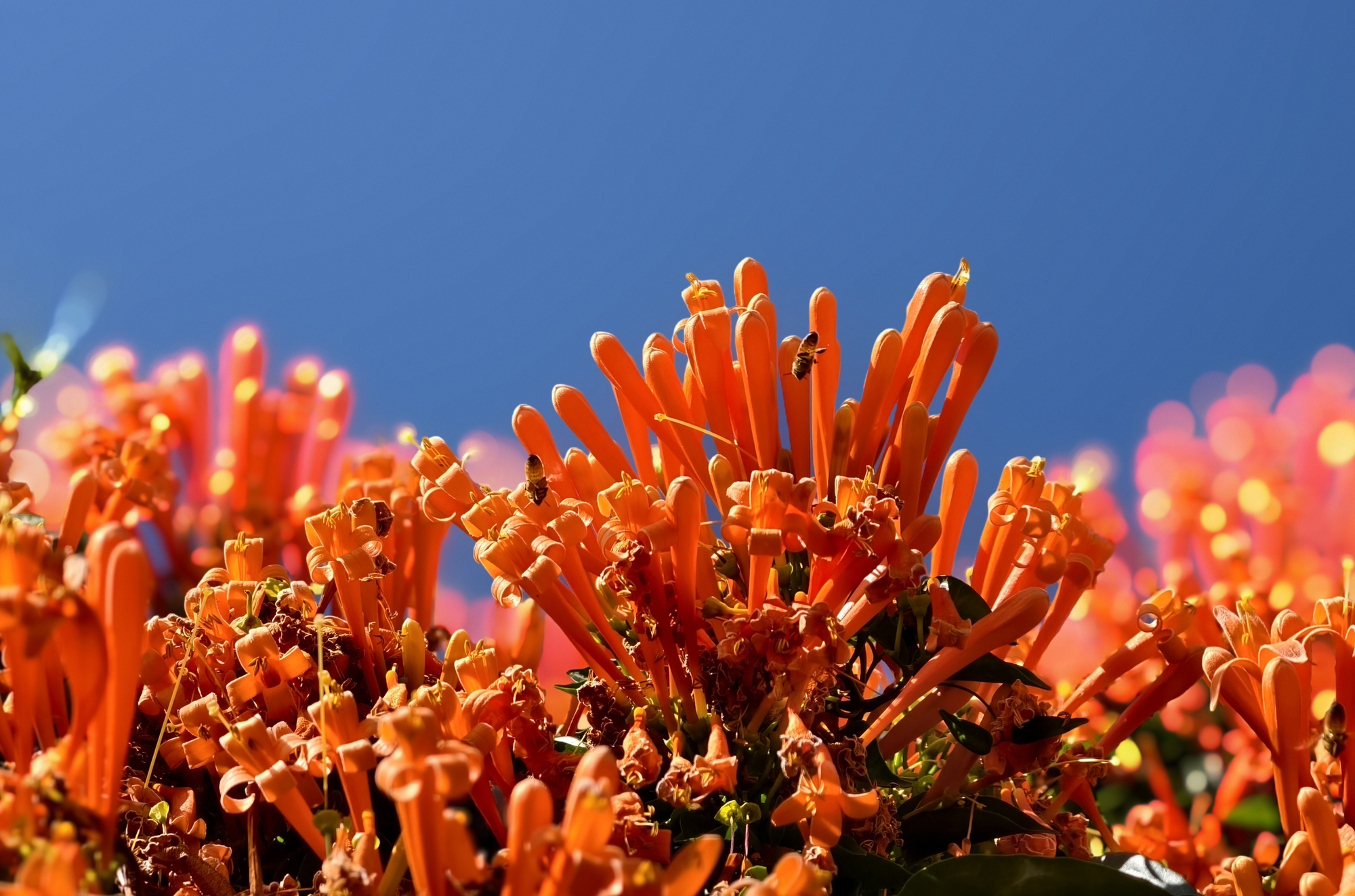 Căn nh&agrave; đang "nổi như cồn" ở L&acirc;m Đồng- Ảnh 9.