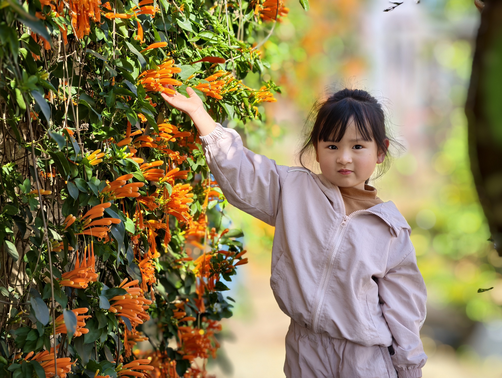 Căn nh&agrave; đang "nổi như cồn" ở L&acirc;m Đồng- Ảnh 15.