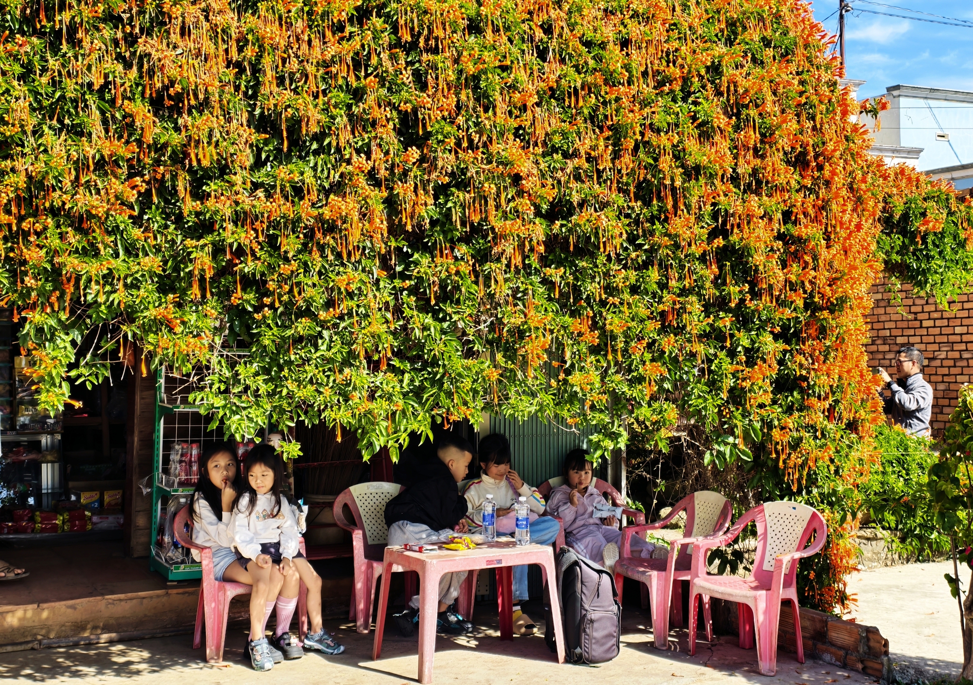 Căn nh&agrave; đang "nổi như cồn" ở L&acirc;m Đồng- Ảnh 18.
