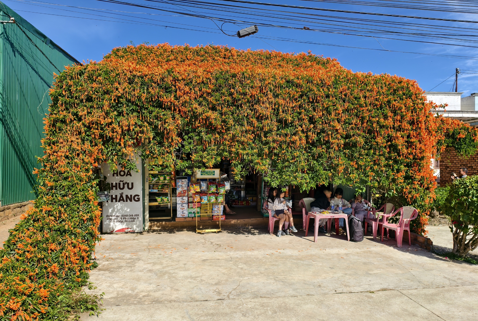 Căn nh&agrave; đang "nổi như cồn" ở L&acirc;m Đồng- Ảnh 2.