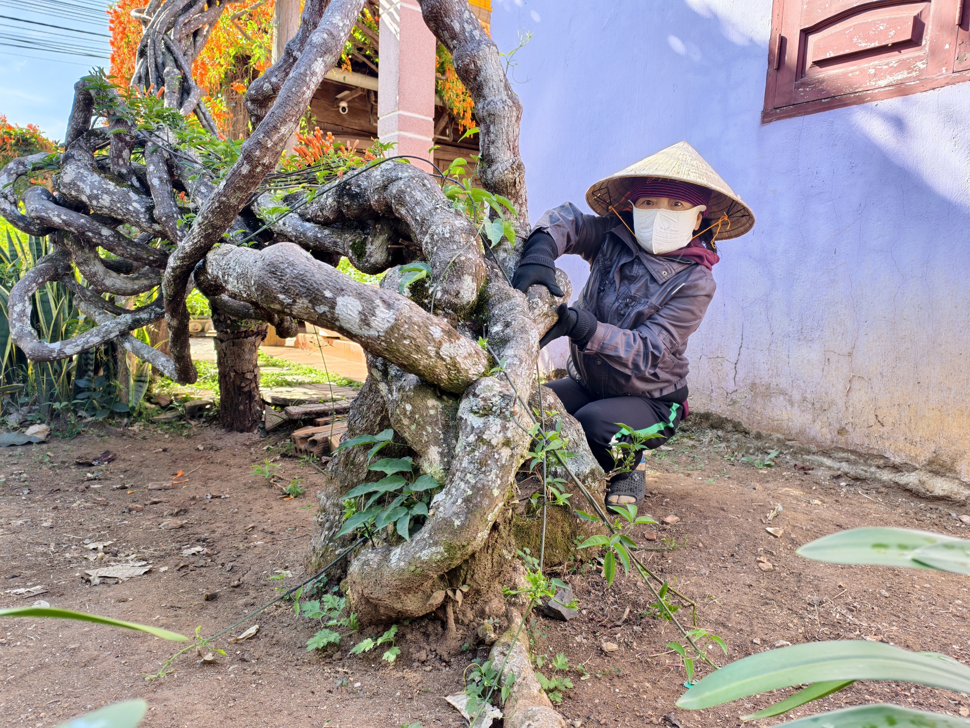 Căn nh&agrave; đang "nổi như cồn" ở L&acirc;m Đồng- Ảnh 4.