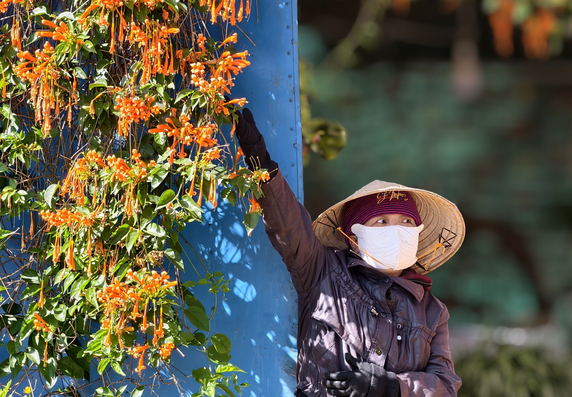Căn nh&agrave; đang "nổi như cồn" ở L&acirc;m Đồng- Ảnh 5.