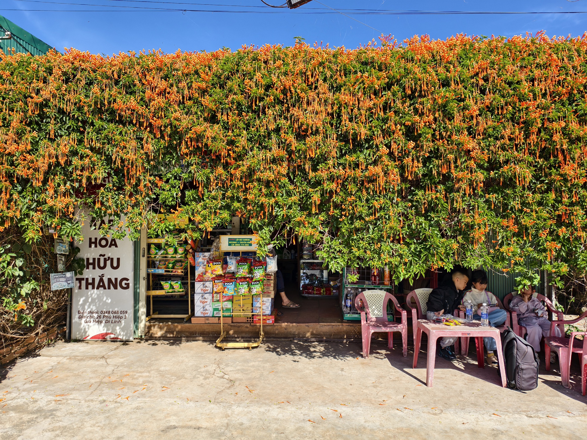 Căn nh&agrave; đang "nổi như cồn" ở L&acirc;m Đồng- Ảnh 6.