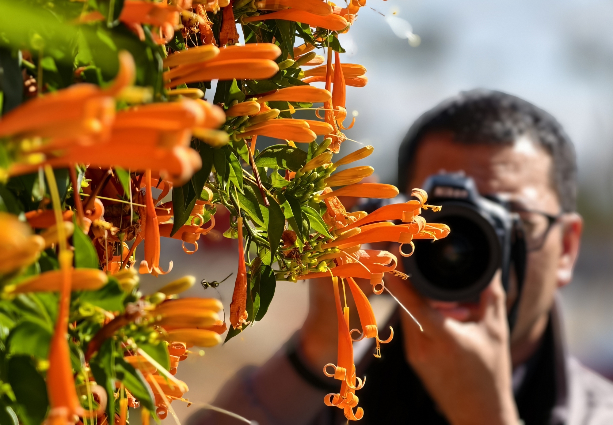 Căn nh&agrave; đang "nổi như cồn" ở L&acirc;m Đồng- Ảnh 17.