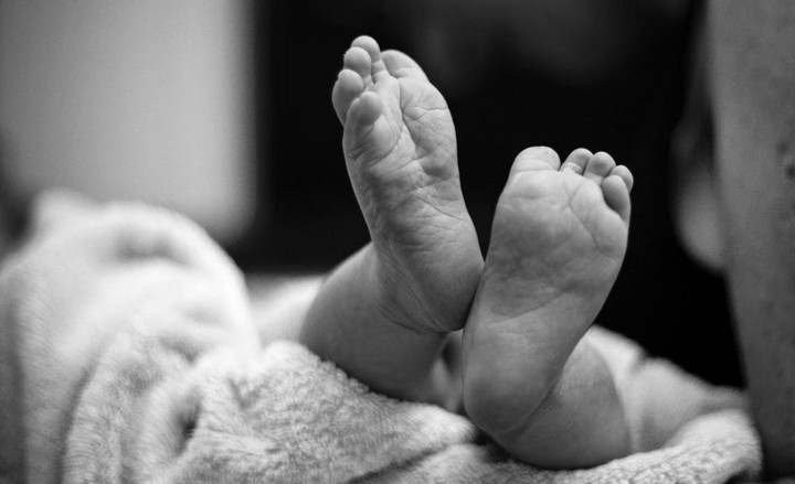 X&aacute;c minh vụ thi thể trẻ sơ sinh trong sọt r&aacute;c tại khu c&ocirc;ng nghiệp Vĩnh Long- Ảnh 1.