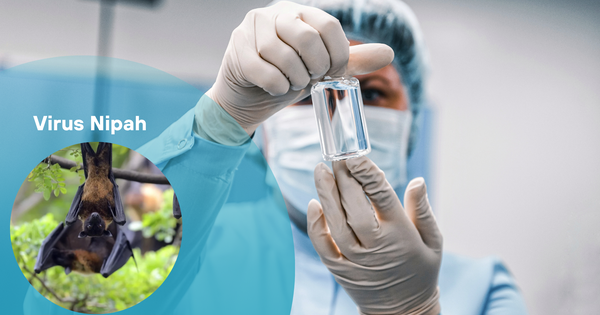 Trung Quốc ph&aacute;t hiện thuốc ph&ograve;ng chống virus Nipah hiệu quả- Ảnh 1.