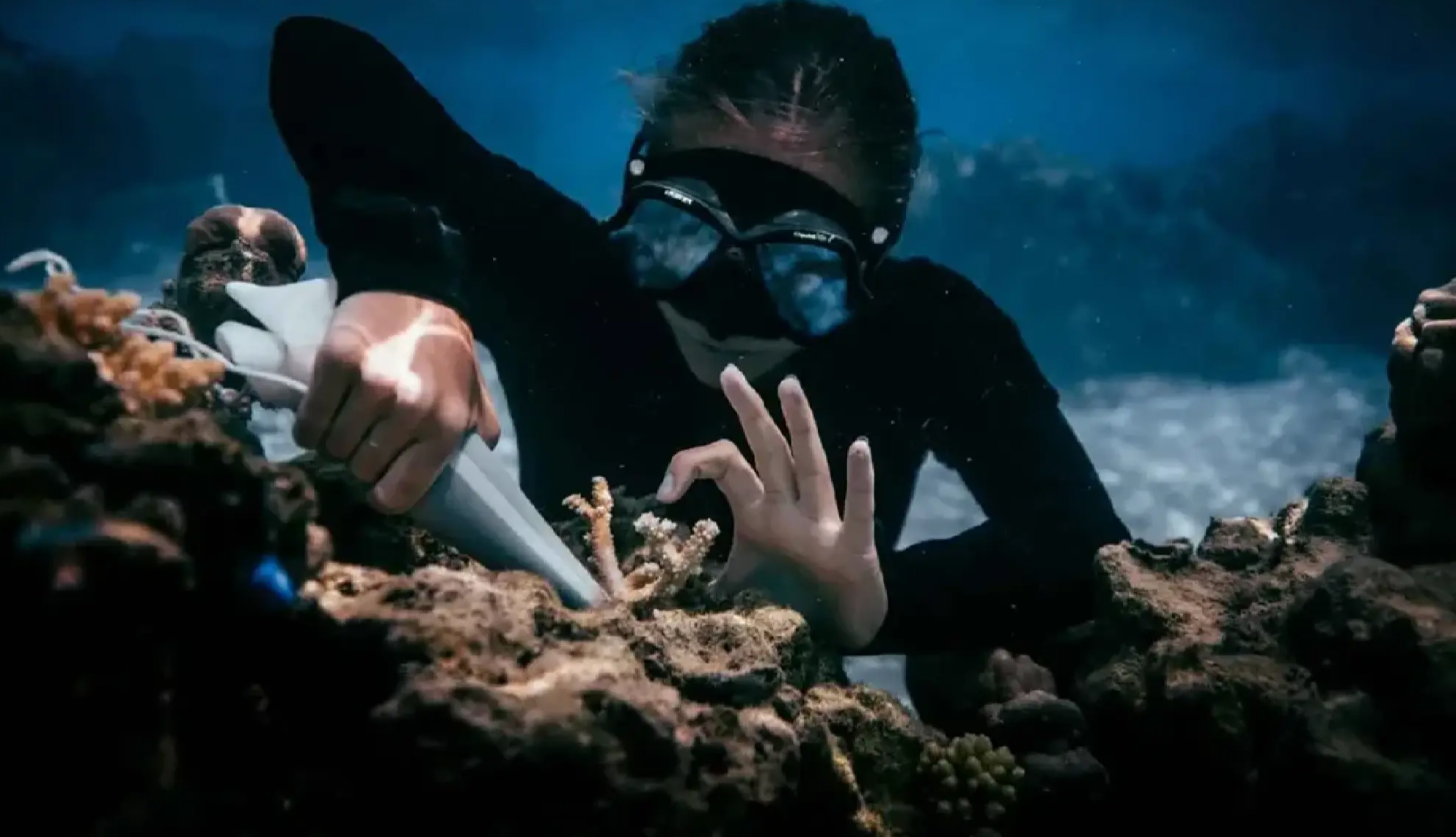 Du lịch tái tạo: Xu hướng mới của du khách hiện đại- Ảnh 3. Du lịch tái tạo: Xu hướng mới của du khách hiện đại- Ảnh 3.