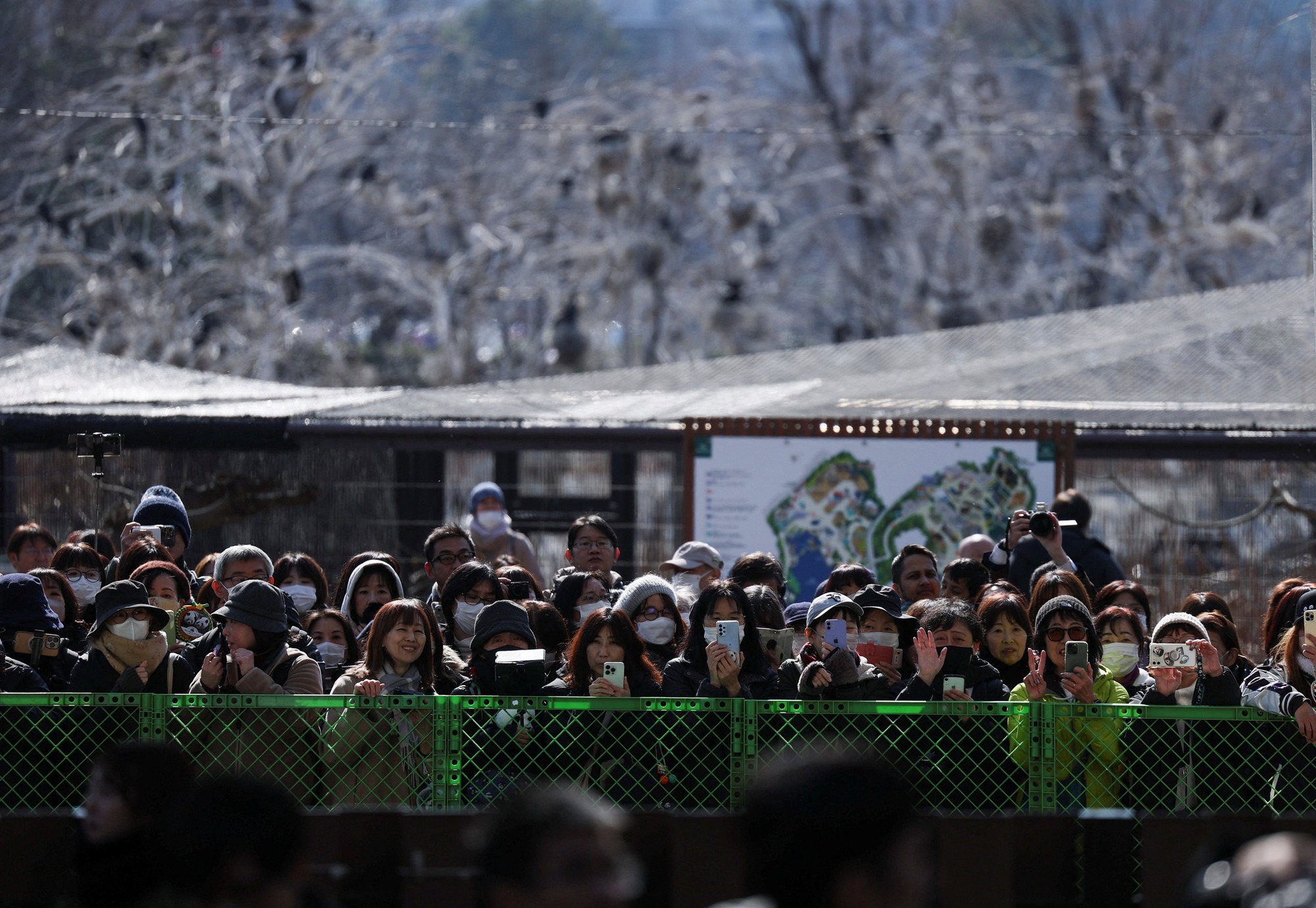 H&agrave;ng d&agrave;i người d&acirc;n Nhật Bản x&uacute;c động xếp h&agrave;ng chia tay cặp gấu tr&uacute;c sinh đ&ocirc;i quay trở về Trung Quốc, sở th&uacute; c&oacute; thể thiệt hại tới 3.400 tỷ đồng/năm- Ảnh 2.
