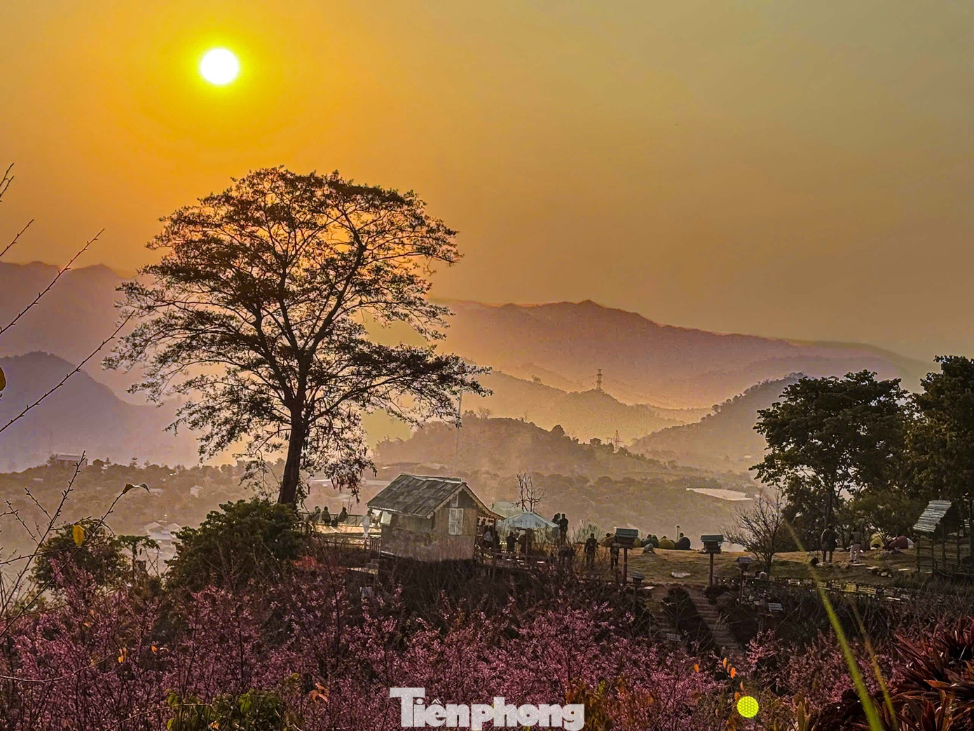 Cảnh tượng 'độc nhất v&ocirc; nhị' ở điểm check-in cao nhất Mộc Ch&acirc;u- Ảnh 1.