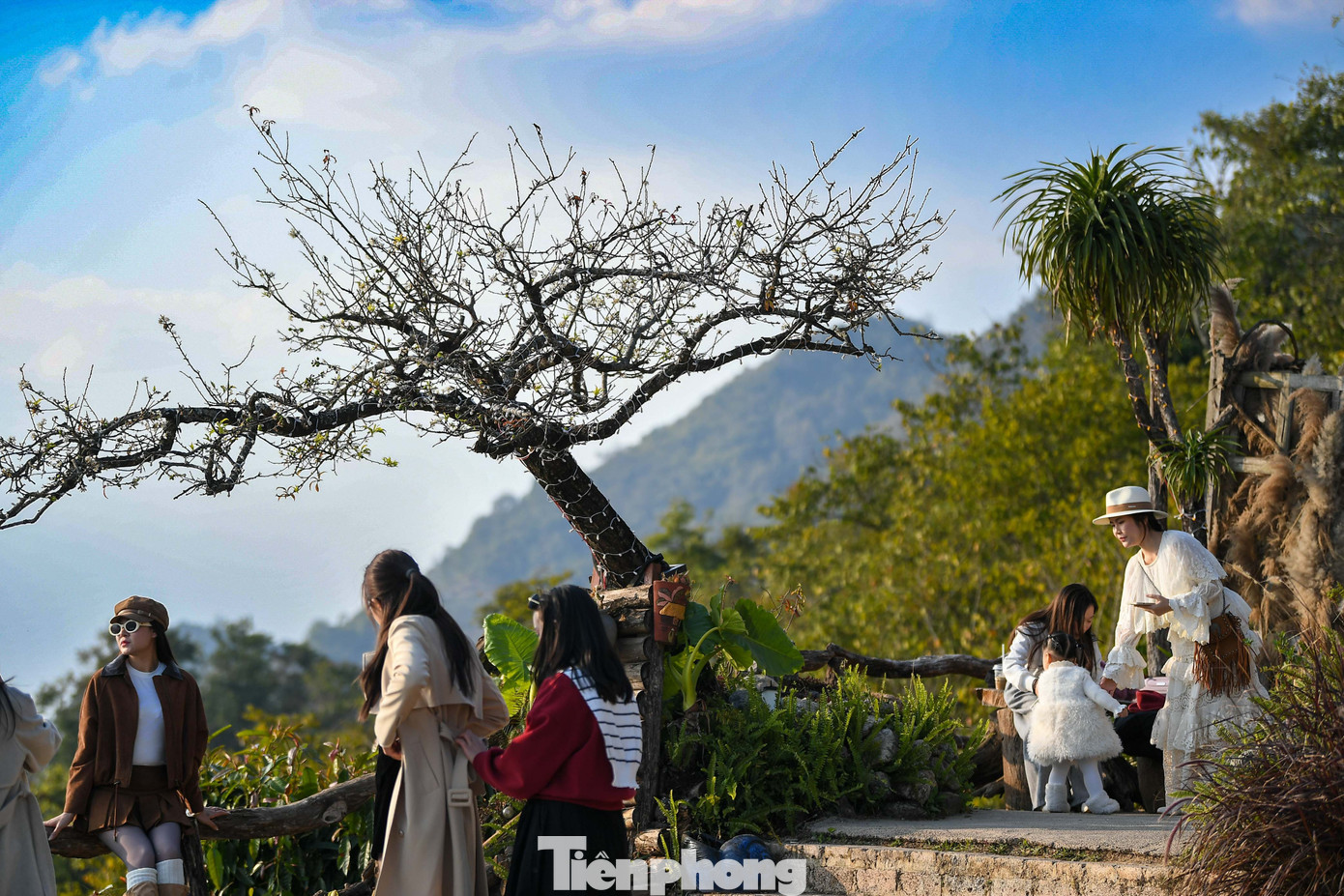 Cảnh tượng 'độc nhất v&ocirc; nhị' ở điểm check-in cao nhất Mộc Ch&acirc;u- Ảnh 8.