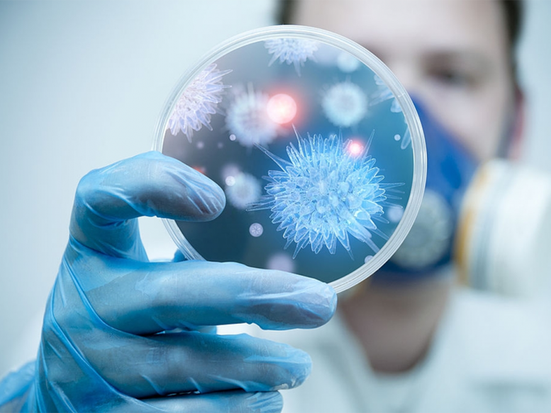 Bộ Y tế khuyến c&aacute;o người d&acirc;n hạn chế đến khu vực c&oacute; dịch bệnh do virus Nipah- Ảnh 1.