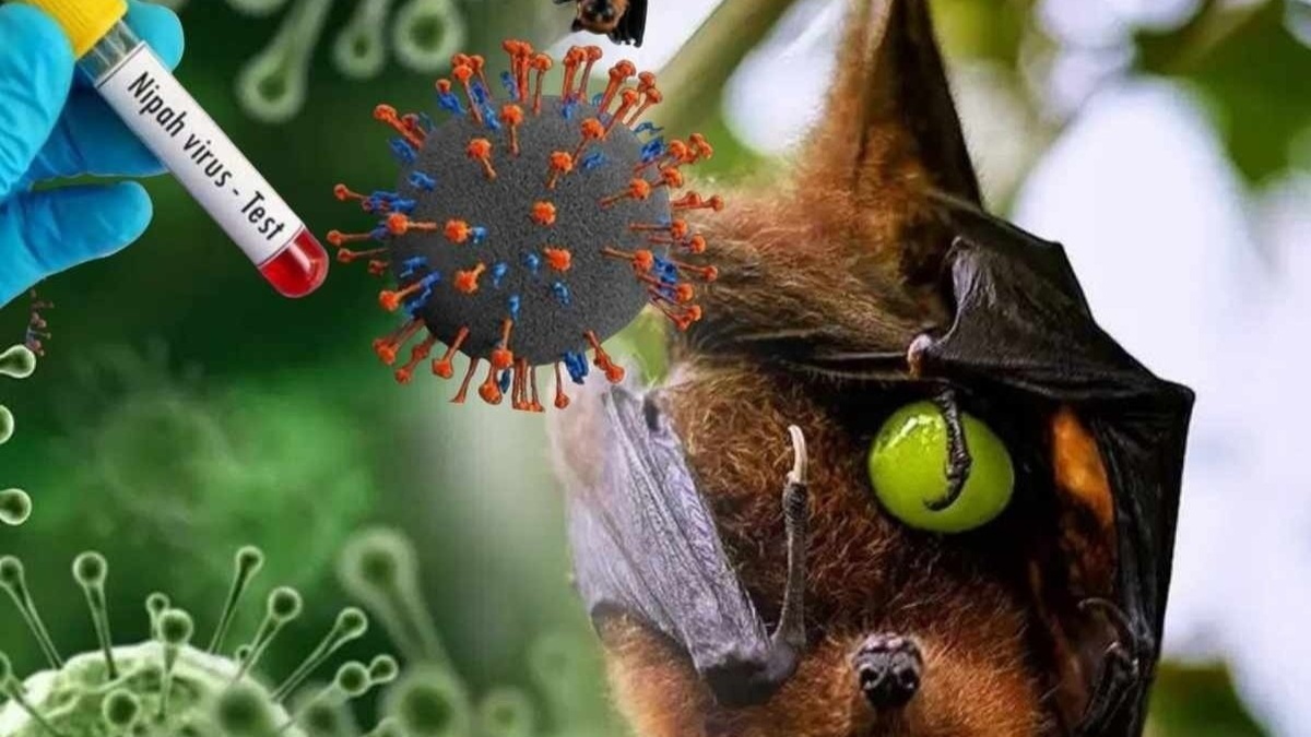 Virus Nipah c&oacute; khả năng trở th&agrave;nh đại dịch kh&ocirc;ng? Chuy&ecirc;n gia nhận định đường l&acirc;y v&agrave; khả năng xuất hiện tại Việt Nam- Ảnh 4.