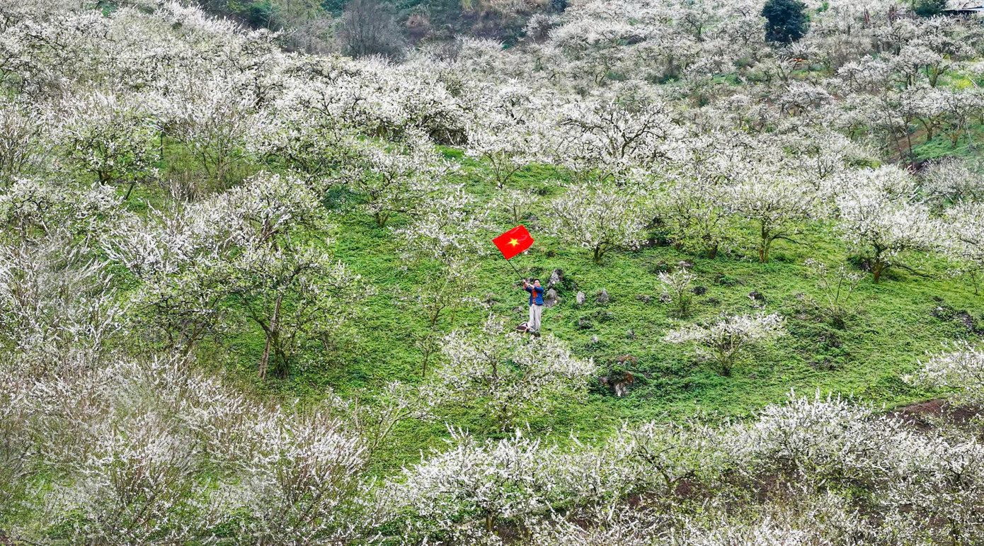 Đắm ch&igrave;m trong sắc trắng mi&ecirc;n man ở cao nguy&ecirc;n Mộc Ch&acirc;u- Ảnh 1.