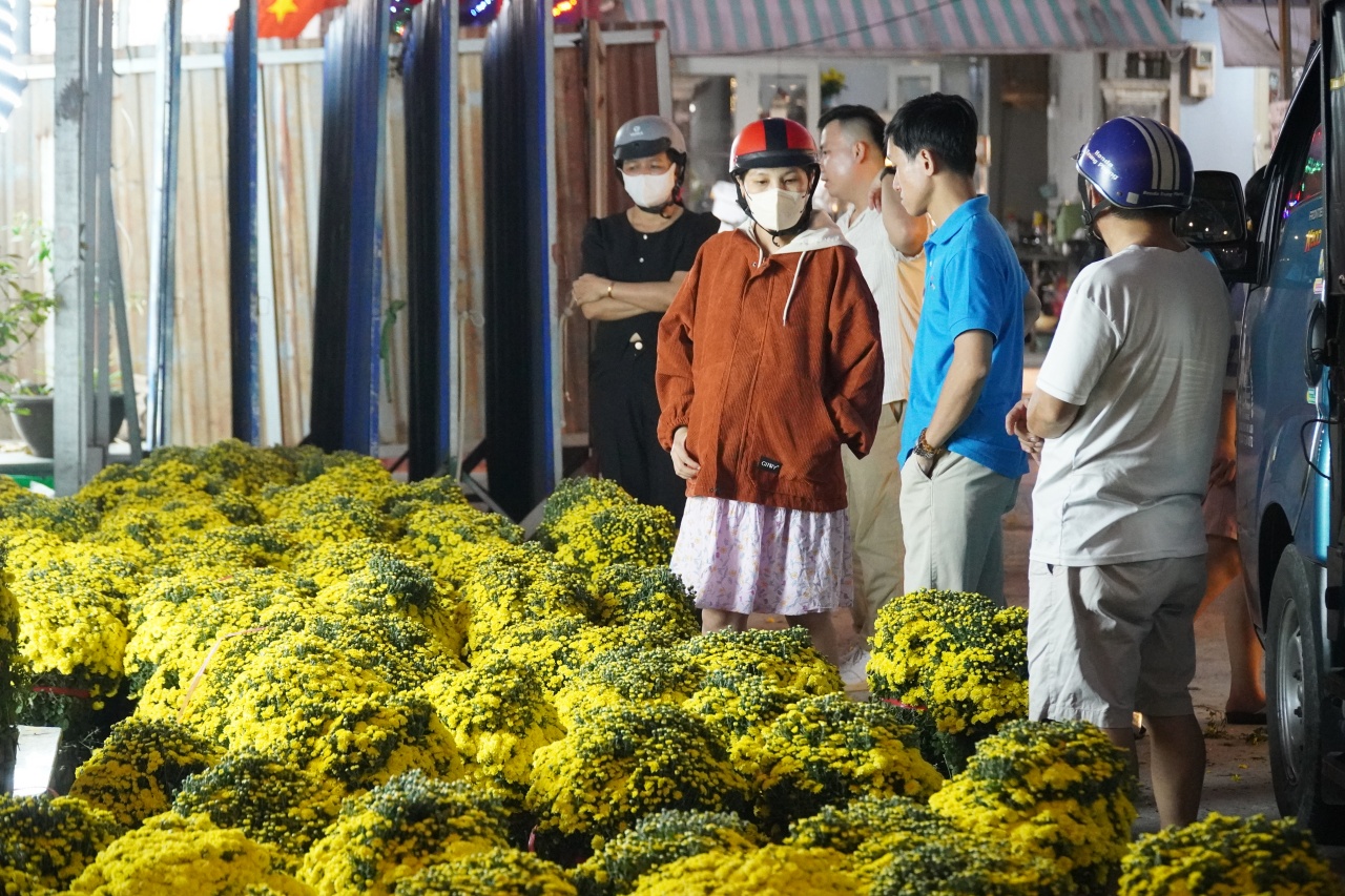 Ấm l&ograve;ng ng&agrave;y gi&aacute;p Tết: Người d&acirc;n TP.HCM chung tay giải cứu từng chậu c&uacute;c m&acirc;m x&ocirc;i, gi&uacute;p b&agrave; con n&ocirc;ng d&acirc;n miền T&acirc;y vơi bớt nỗi lo mất m&ugrave;a- Ảnh 7.