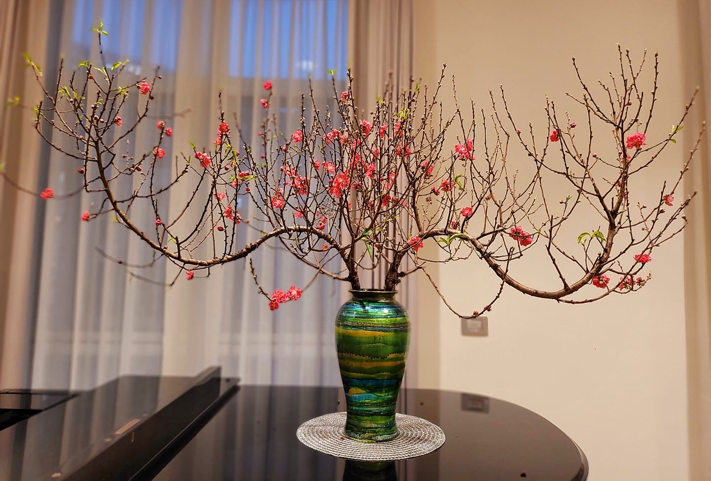 5 loại hoa chơi Tết &ldquo;kh&ocirc;ng c&oacute; đỉnh nhất chỉ c&oacute; đỉnh hơn&rdquo;: Chưng xong chỉ ngẩn ngơ ngắm, đẹp đến nỗi cạn từ khen- Ảnh 1.