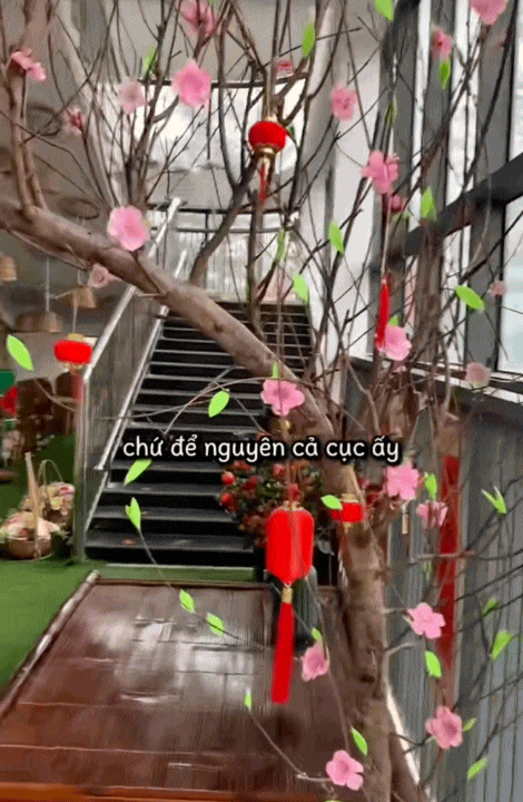 Làm dâu 5 năm, vợ Hà Nội biếu Tết nội - ngoại 3 triệu: Hai nhà chưa nói gì, toàn người ngoài vào Làm dâu 5 năm, vợ Hà Nội biếu Tết nội - ngoại 3 triệu: Hai nhà chưa nói gì, toàn người ngoài vào