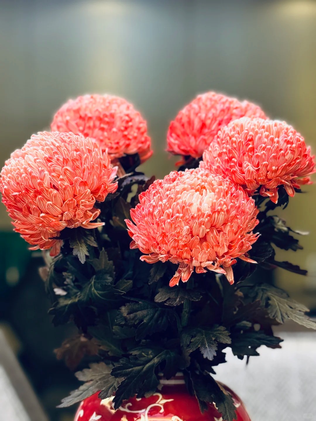 Kh&ocirc;ng phải mẫu đơn, cũng chẳng phải c&uacute;c thường: Lo&agrave;i hoa lạ đang khiến chị em l&ugrave;ng sục để "đổi gi&oacute;" b&agrave;n tr&agrave; ng&agrave;y Tết- Ảnh 15.