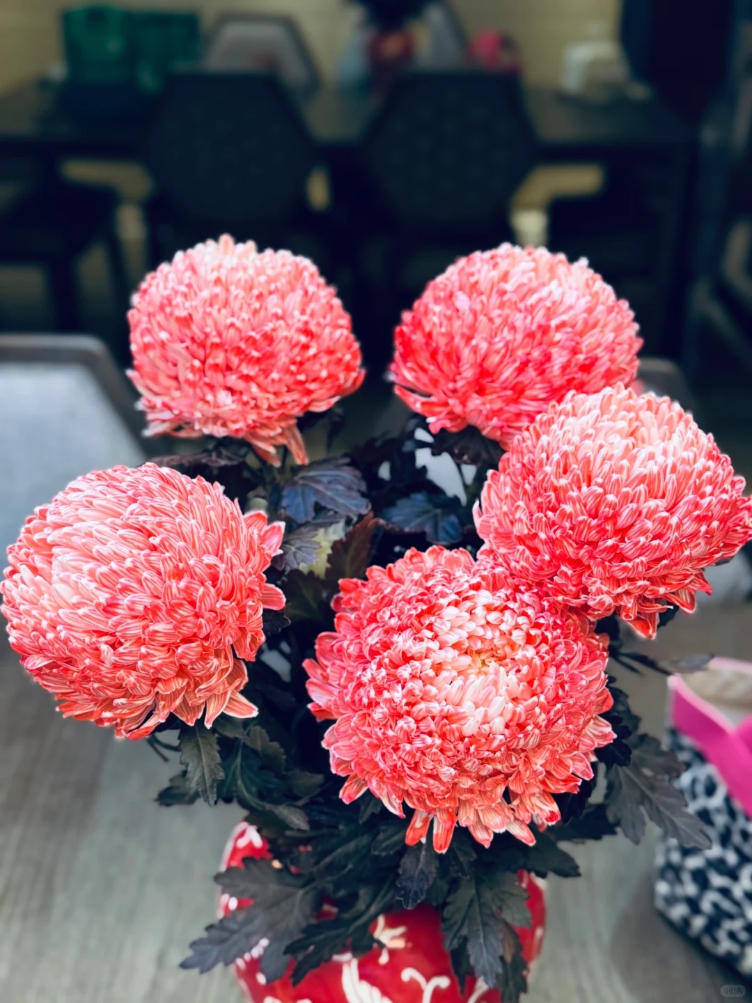 Kh&ocirc;ng phải mẫu đơn, cũng chẳng phải c&uacute;c thường: Lo&agrave;i hoa lạ đang khiến chị em l&ugrave;ng sục để "đổi gi&oacute;" b&agrave;n tr&agrave; ng&agrave;y Tết- Ảnh 14.