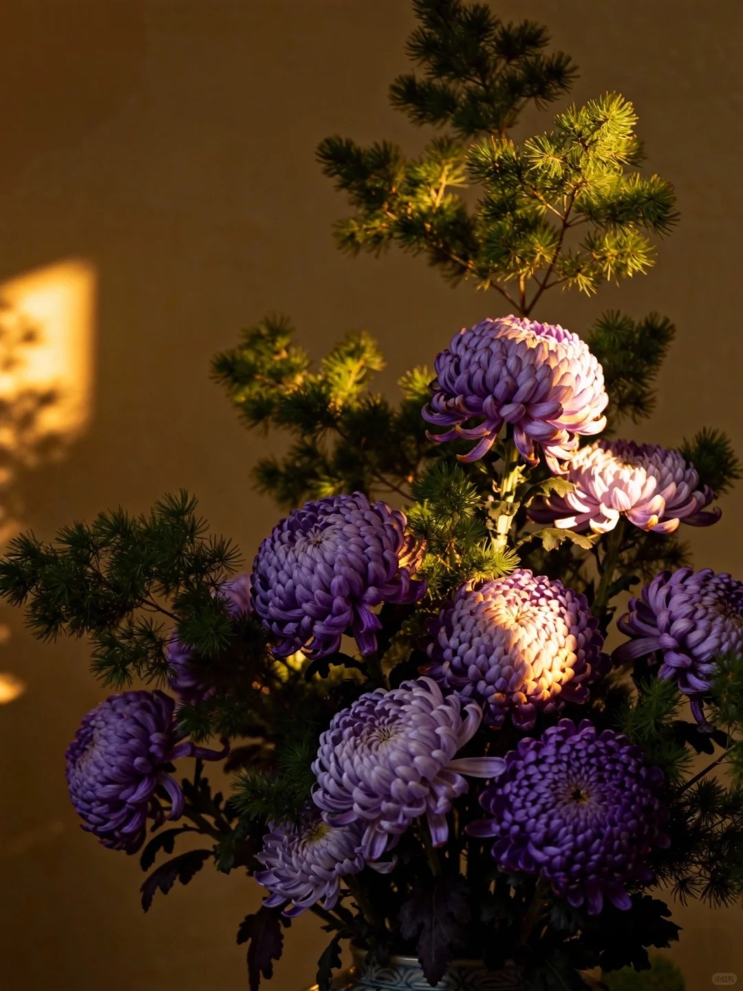 Kh&ocirc;ng phải mẫu đơn, cũng chẳng phải c&uacute;c thường: Lo&agrave;i hoa lạ đang khiến chị em l&ugrave;ng sục để "đổi gi&oacute;" b&agrave;n tr&agrave; ng&agrave;y Tết- Ảnh 13.