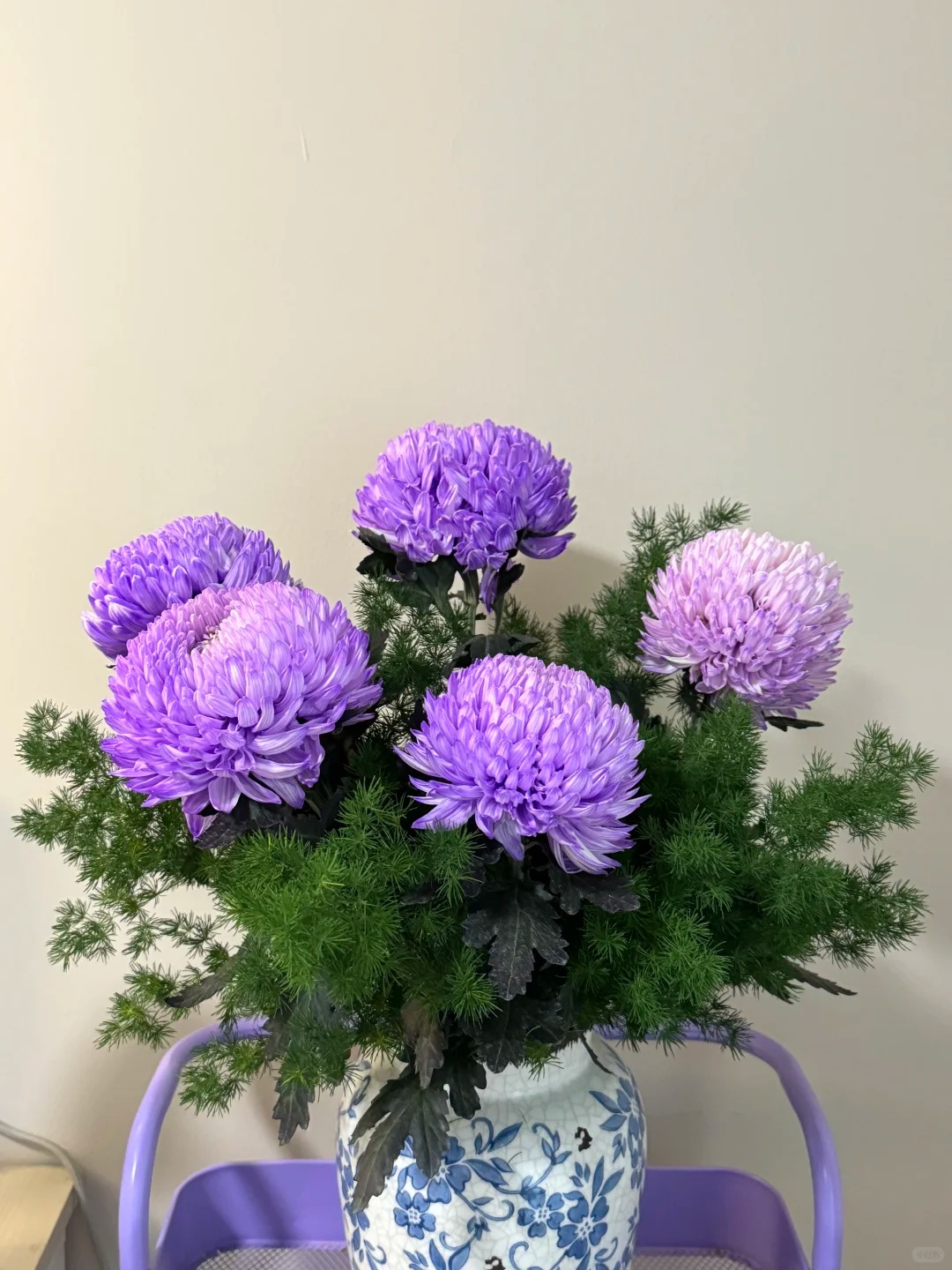 Kh&ocirc;ng phải mẫu đơn, cũng chẳng phải c&uacute;c thường: Lo&agrave;i hoa lạ đang khiến chị em l&ugrave;ng sục để "đổi gi&oacute;" b&agrave;n tr&agrave; ng&agrave;y Tết- Ảnh 12.