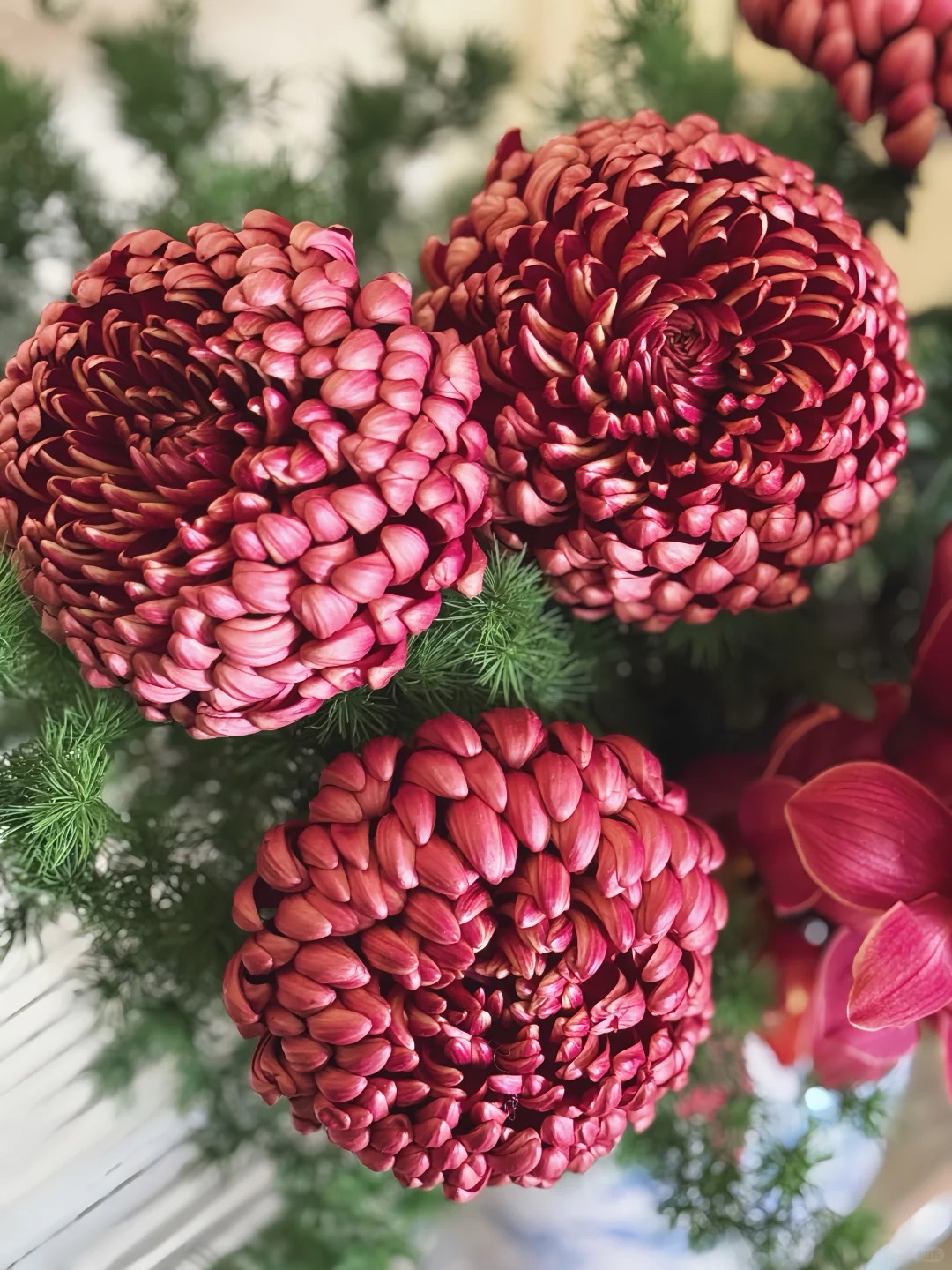 Kh&ocirc;ng phải mẫu đơn, cũng chẳng phải c&uacute;c thường: Lo&agrave;i hoa lạ đang khiến chị em l&ugrave;ng sục để "đổi gi&oacute;" b&agrave;n tr&agrave; ng&agrave;y Tết- Ảnh 17.