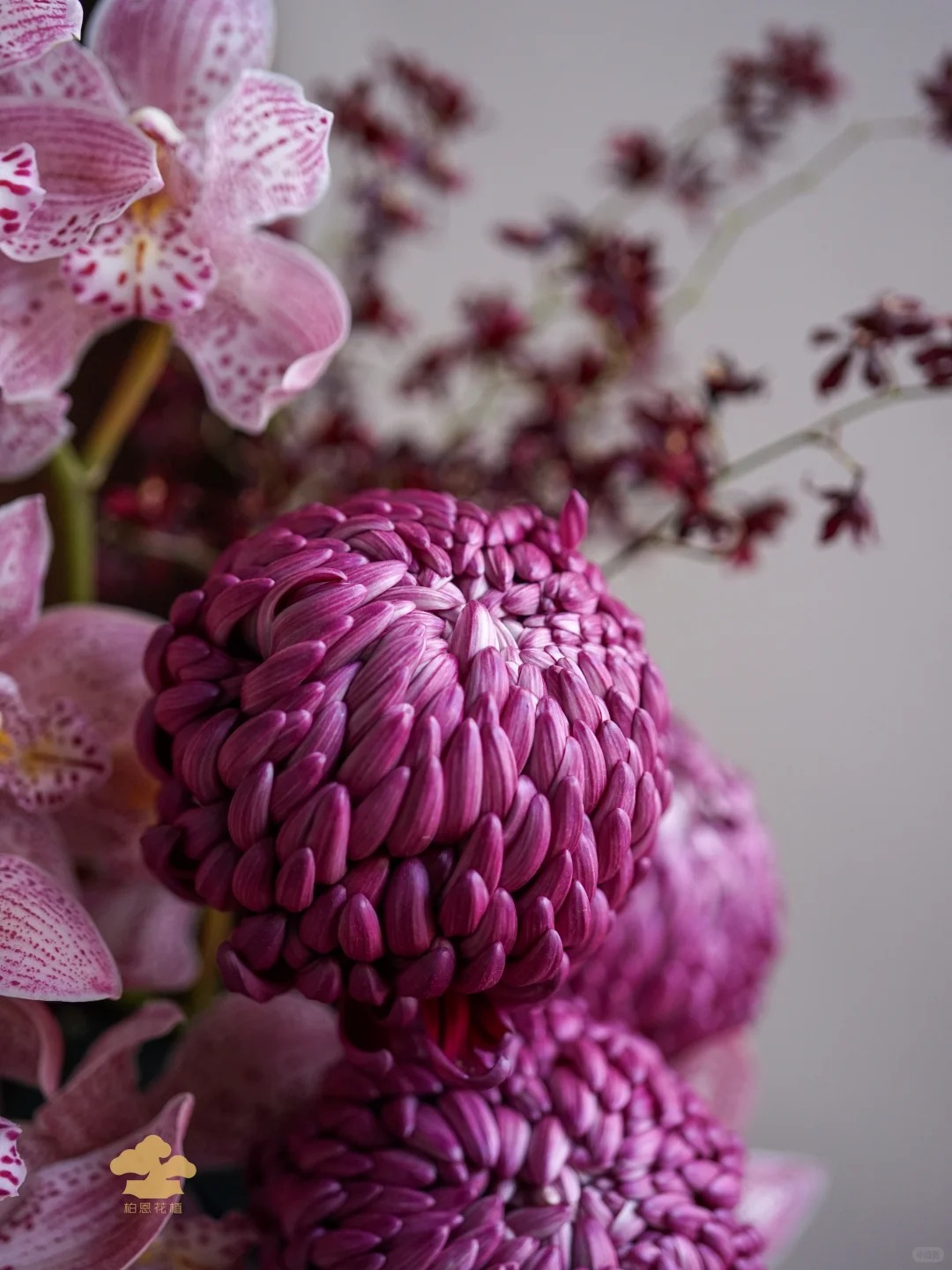 Kh&ocirc;ng phải mẫu đơn, cũng chẳng phải c&uacute;c thường: Lo&agrave;i hoa lạ đang khiến chị em l&ugrave;ng sục để "đổi gi&oacute;" b&agrave;n tr&agrave; ng&agrave;y Tết- Ảnh 6.