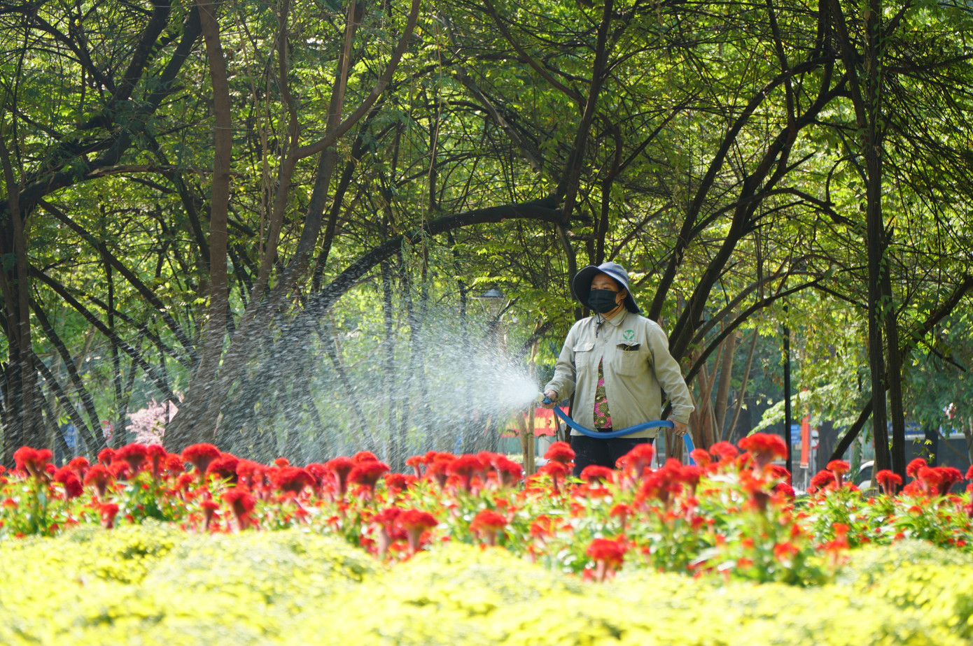 'Đất v&agrave;ng' bỏ hoang giữa trung t&acirc;m TPHCM th&agrave;nh c&ocirc;ng vi&ecirc;n đ&ocirc;ng vui dịp Tết- Ảnh 11.