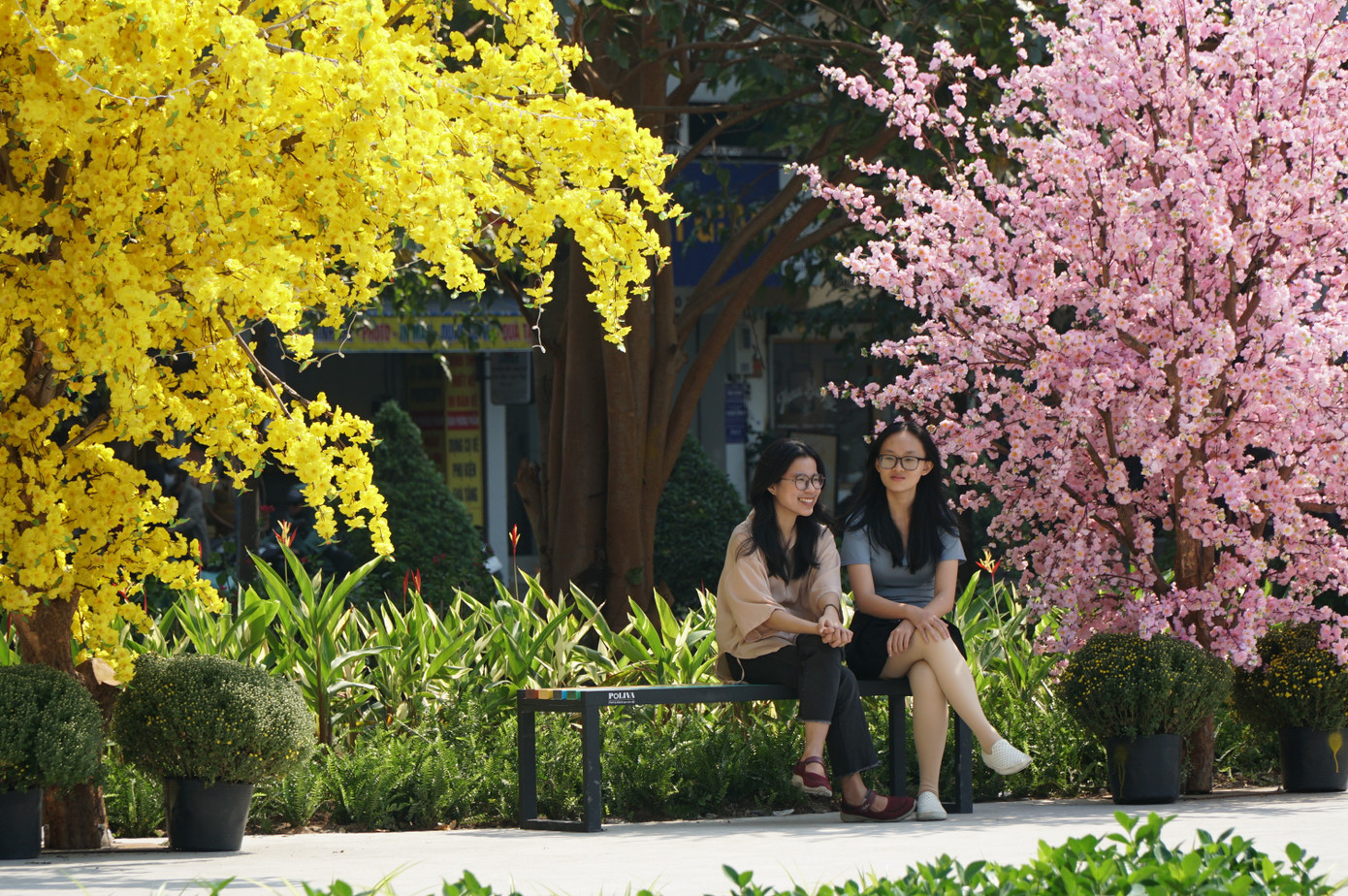 'Đất v&agrave;ng' bỏ hoang giữa trung t&acirc;m TPHCM th&agrave;nh c&ocirc;ng vi&ecirc;n đ&ocirc;ng vui dịp Tết- Ảnh 2.