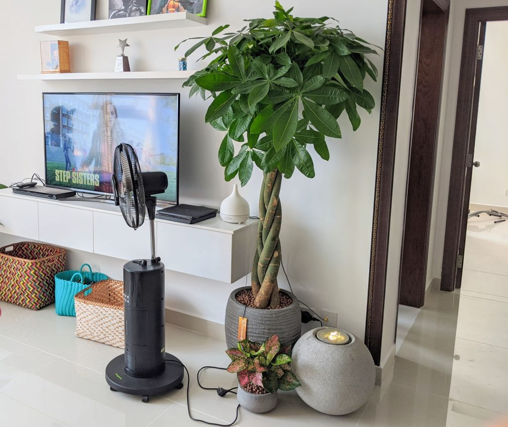 Gần Tết thấy nhà có 6 dấu hiệu này là cuộc đời nở hoa, tài lộc gõ cửa: Đặc biệt là điều số 2!- Ảnh 3. Gần Tết thấy nhà có 6 dấu hiệu này là cuộc đời nở hoa, tài lộc gõ cửa: Đặc biệt là điều số 2!- Ảnh 3.