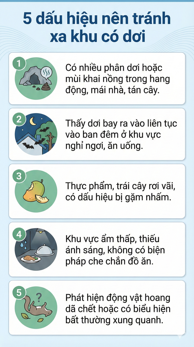 Cảnh báo: Tìm thấy loài dơi mang virus Nipah nhiều nhất ở nơi này - Có người chủ quan thường tới, ngủ lại- Ảnh 7. Cảnh báo: Tìm thấy loài dơi mang virus Nipah nhiều nhất ở nơi này - Có người chủ quan thường tới, ngủ lại- Ảnh 7.