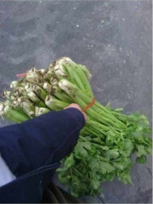 Sốc vì thưởng Tết của công ty tôi- Ảnh 2.