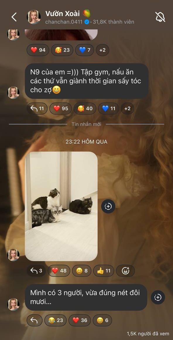 Xoài Non có động thái lạ giữa lúc lan truyền thông tin sang Thái Lan làm IVF- Ảnh 3. Xoài Non có động thái lạ giữa lúc lan truyền thông tin sang Thái Lan làm IVF- Ảnh 3.