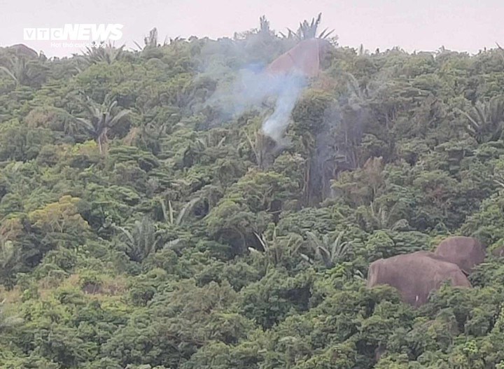 Bộ Quốc ph&ograve;ng th&ocirc;ng tin ch&iacute;nh thức về sự cố m&aacute;y bay qu&acirc;n sự rơi tại Đắk Lắk- Ảnh 1.