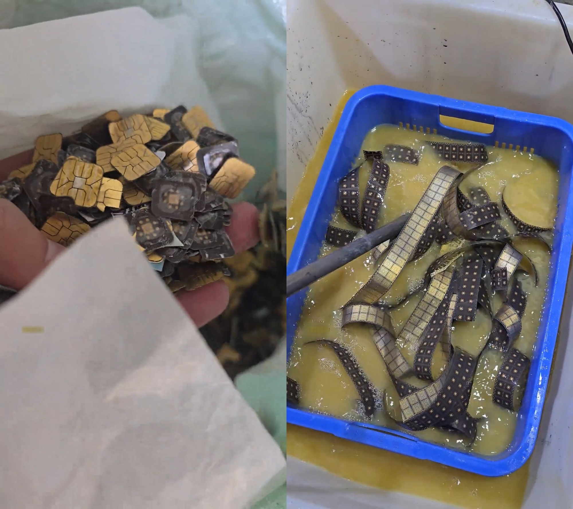 Ch&agrave;ng trai lấy được hơn 5 c&acirc;y v&agrave;ng từ thứ nhiều người bỏ đi- Ảnh 1.