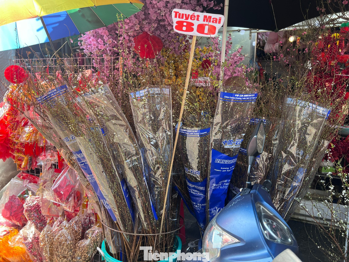 Đ&agrave;o mini đổ bộ S&agrave;i th&agrave;nh, gi&aacute; rẻ đến bất ngờ- Ảnh 6.