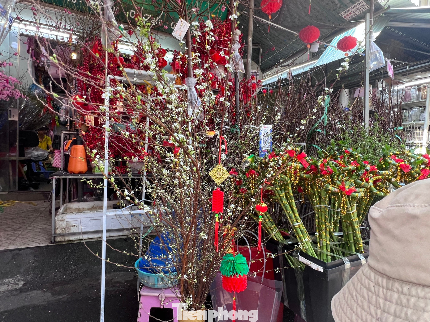 Đ&agrave;o mini đổ bộ S&agrave;i th&agrave;nh, gi&aacute; rẻ đến bất ngờ- Ảnh 13.