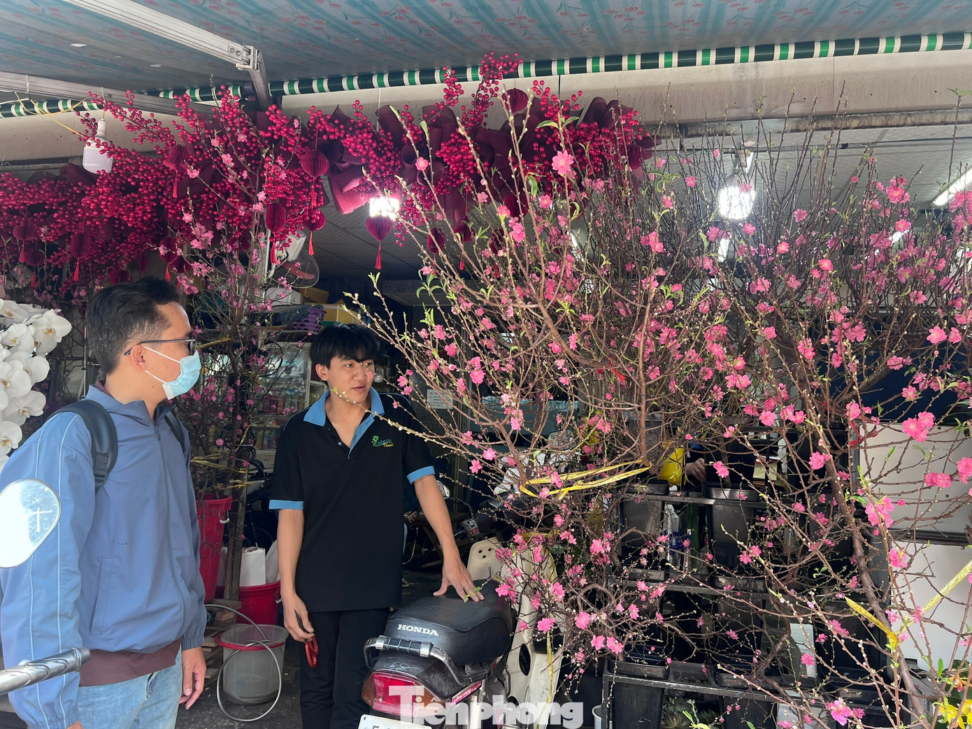 Đ&agrave;o mini đổ bộ S&agrave;i th&agrave;nh, gi&aacute; rẻ đến bất ngờ- Ảnh 4.