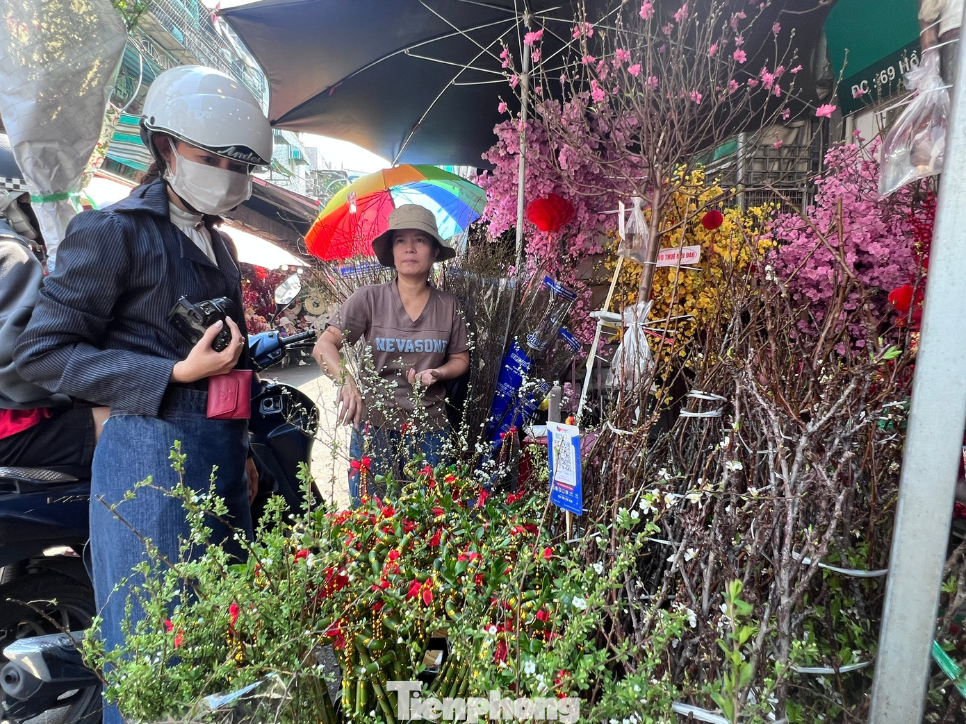 Đ&agrave;o mini đổ bộ S&agrave;i th&agrave;nh, gi&aacute; rẻ đến bất ngờ- Ảnh 15.