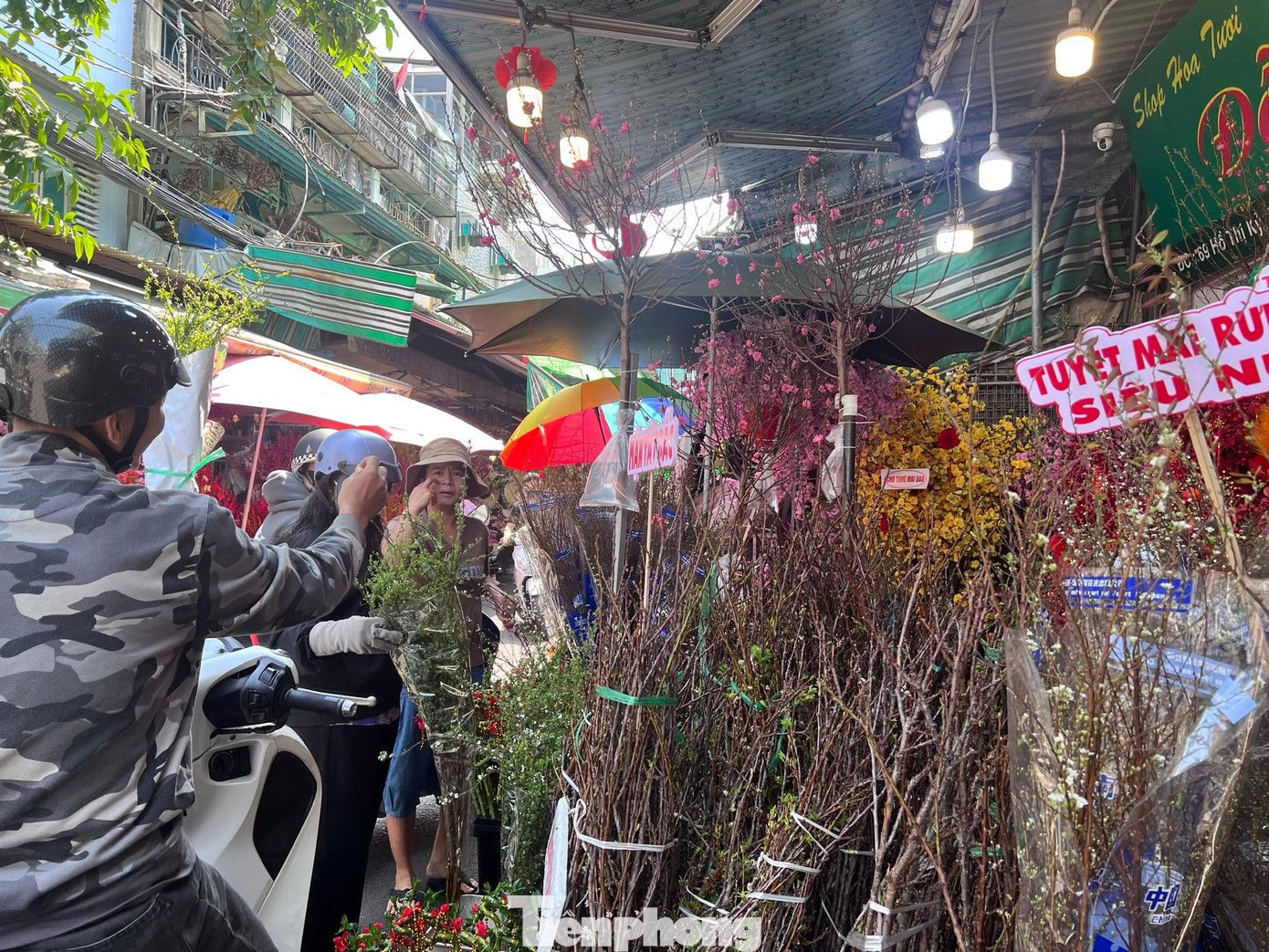 Đ&agrave;o mini đổ bộ S&agrave;i th&agrave;nh, gi&aacute; rẻ đến bất ngờ- Ảnh 9.