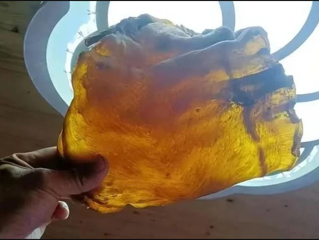 Mở th&ugrave;ng gạo phủ bụi, người đ&agrave;n &ocirc;ng ph&aacute;t hiện vật thể kh&ocirc; bị l&atilde;ng qu&ecirc;n 50 năm, gi&aacute; trị ngang căn biệt thự- Ảnh 1.