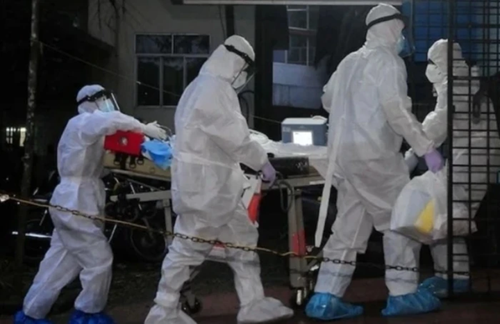 Người nghi ngờ mắc Nipah sẽ được c&aacute;ch ly, điều trị tại Bệnh viện Bệnh Nhiệt đới- Ảnh 2.