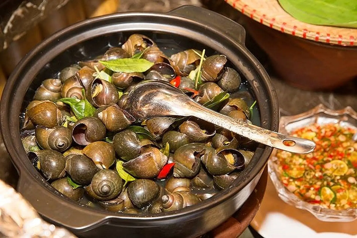 "3 n&ecirc;n 2 kh&ocirc;ng" khi chọn ốc ngon kh&ocirc;ng lo ngậm h&oacute;a chất- Ảnh 1.