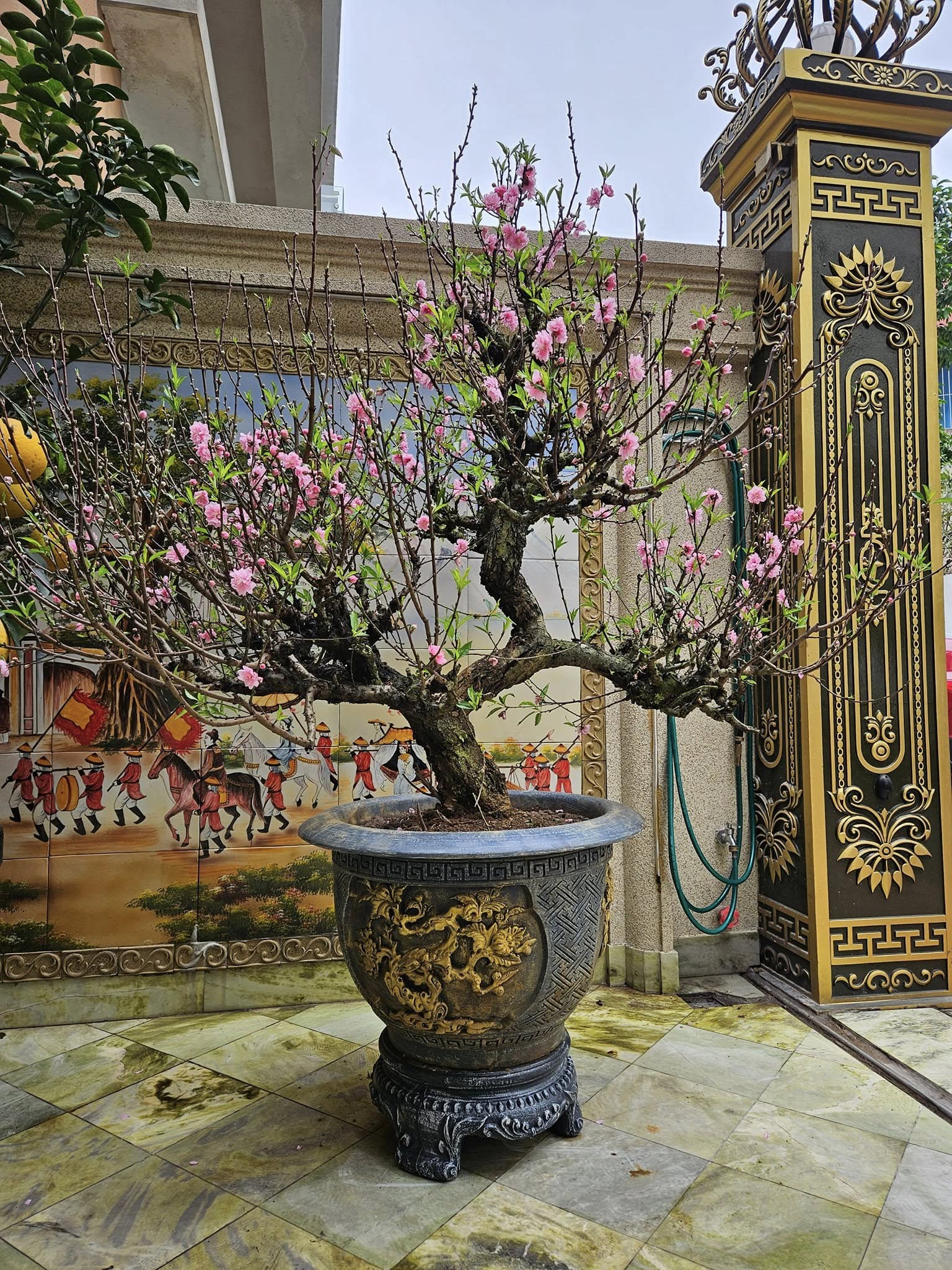 Nam NSND, đại t&aacute; lấy vợ diễn vi&ecirc;n k&eacute;m 13 tuổi, sở hữu biệt thự mặt tiền 4 tầng ở đường Xu&acirc;n Đỉnh- Ảnh 4.