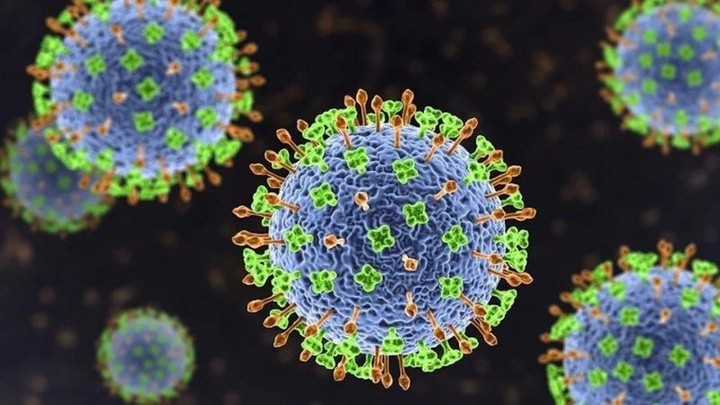 Chuy&ecirc;n gia: Virus Nipah kh&oacute; l&acirc;y lan rộng như COVID-19- Ảnh 1.