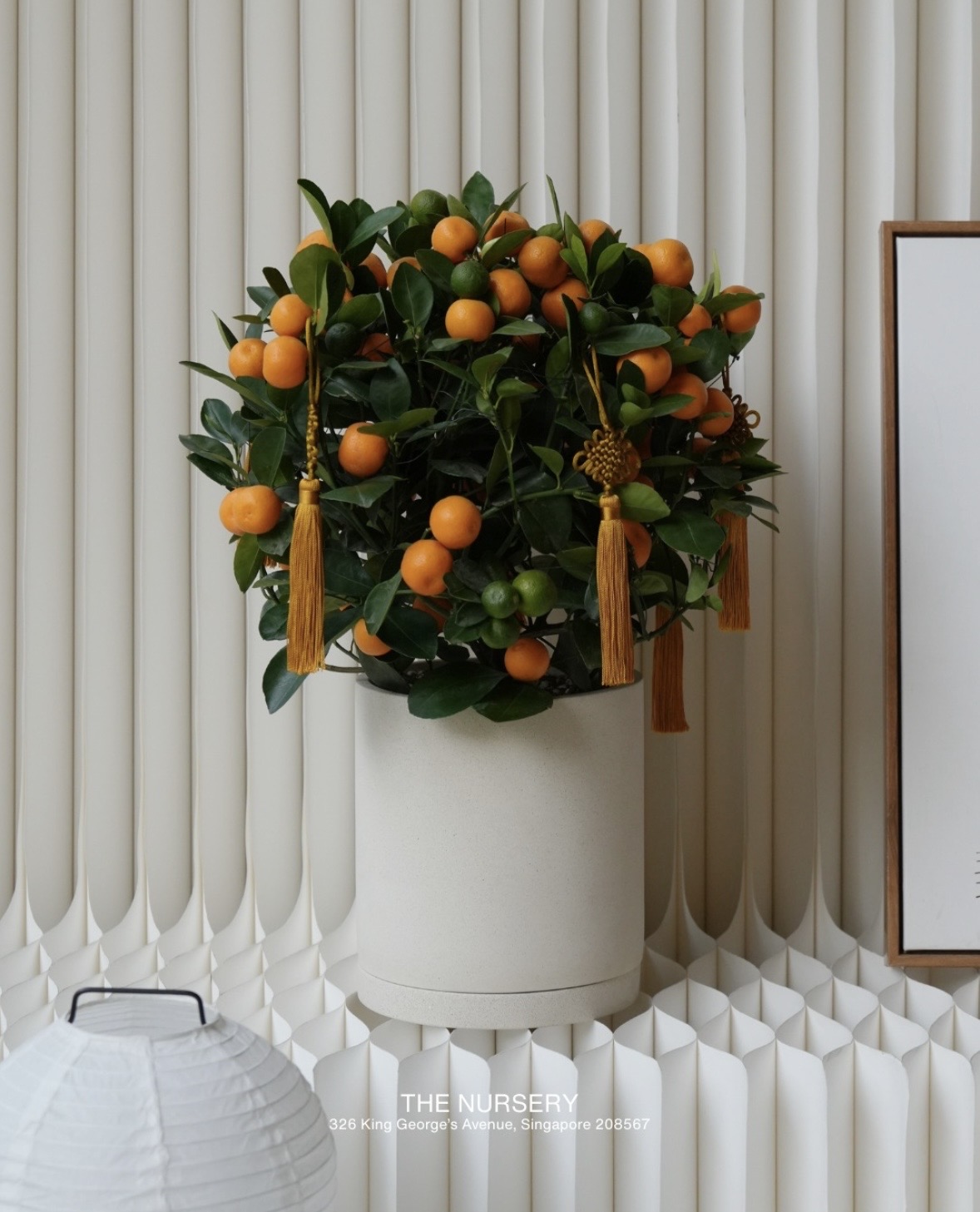 Trend chơi quất d&agrave;nh cho nh&agrave; nhỏ - hội chị em nhất định phải update để đ&oacute;n Tết- Ảnh 9.