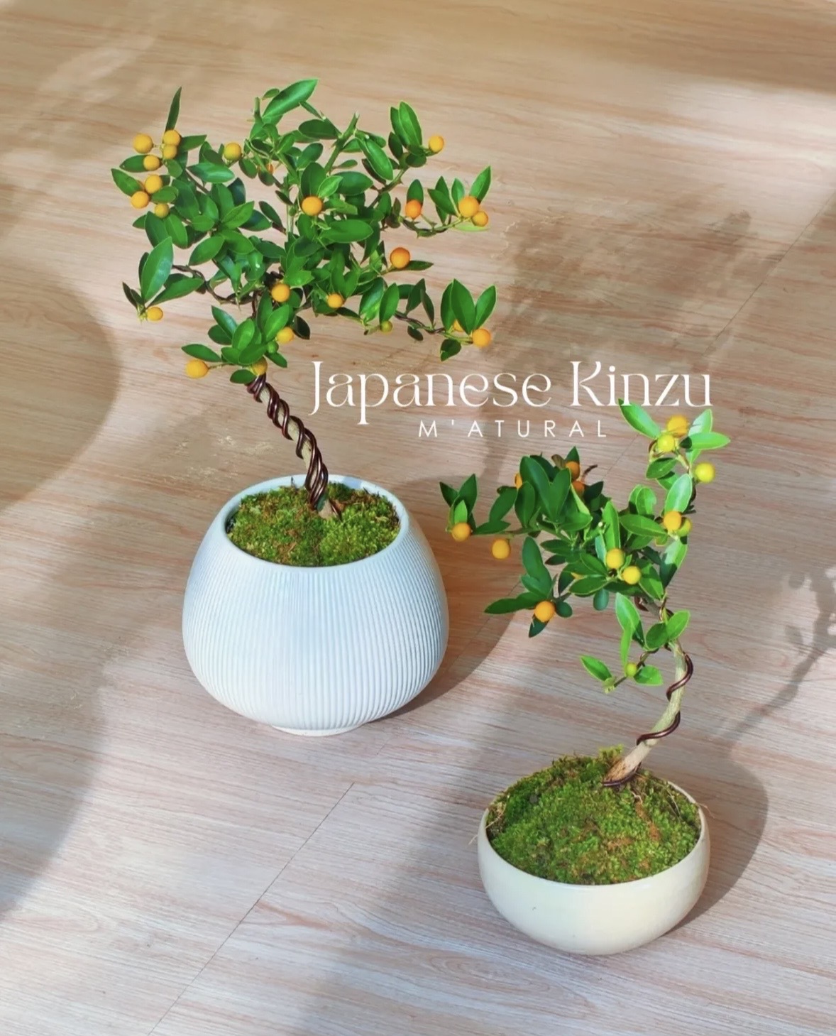 Trend chơi quất d&agrave;nh cho nh&agrave; nhỏ - hội chị em nhất định phải update để đ&oacute;n Tết- Ảnh 5.